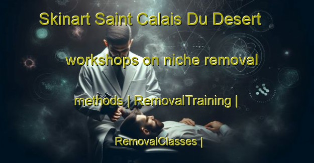 Skinart Saint Calais Du Desert workshops on niche removal methods | RemovalTraining | RemovalClasses | SkinartTraining-France